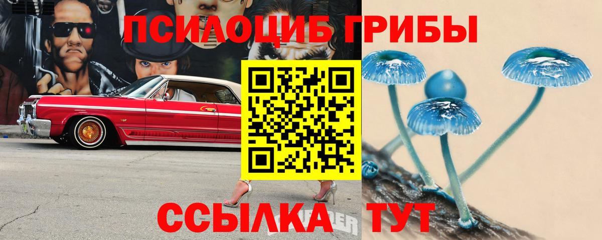Псилоцибиновые грибы MAGIC MUSHROOMS Учалы